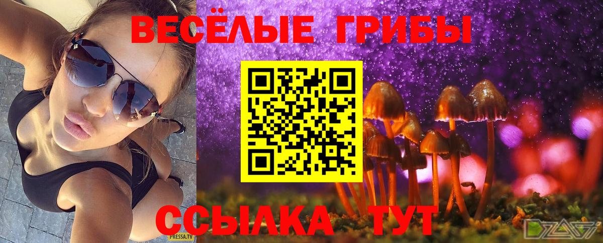 Галлюциногенные грибы ЛСД Саяногорск