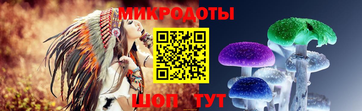Саяногорск  Псилоцибиновые грибы прущие грибы  Вход с VPN 